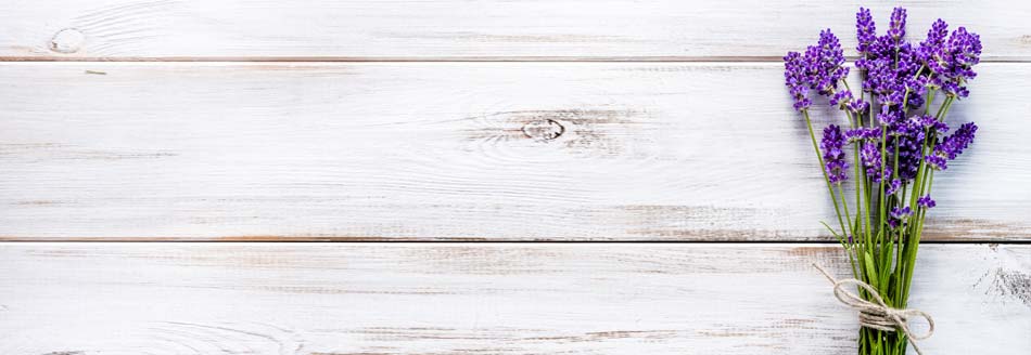 Besuchen dich auf dem Balkon oder der Terrasse regelmäßig Ameisen, obwohl du sie überhaupt nicht eingeladen hast? Mit dieser Pflanze wirst du sie los!