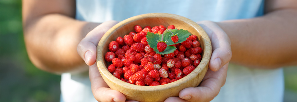 Eine Frau hält eine Schale mit Walderdbeeren in den Händen