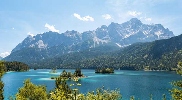Unser Pointee ist an der Zugspitze