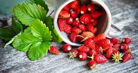 Dieses Obst ist eine: walderdbeere