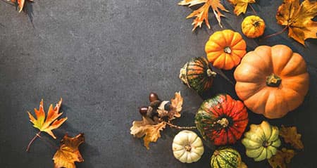 Welche Kürbisse sind essbar? Verschiedene Kürbisse liegen beieinander