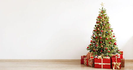 Gewusst wie: weihnachtsbaum entsorgen