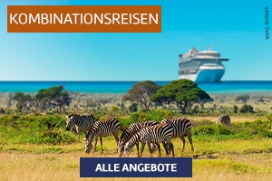 Zebras auf einer Savanne, im Hintergrund das Meer und ein großes Kreuzfahrtschiff.