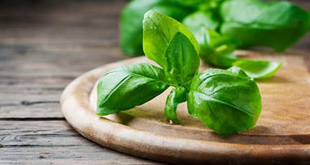 Dieses Gewürz heißt: basilikum