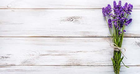 Dieses Gewürz heißt: lavendel