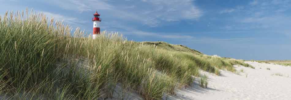 Unser Pointee ist auf Sylt