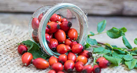 Hagebutten enthalten besonders viel Vitamin C