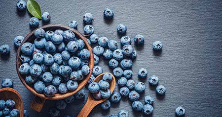 Was stimmt und was nicht zum Thema heidelbeere und blaubeere unterschied