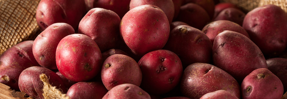 Rote Kartoffeln liegen in einem Korb