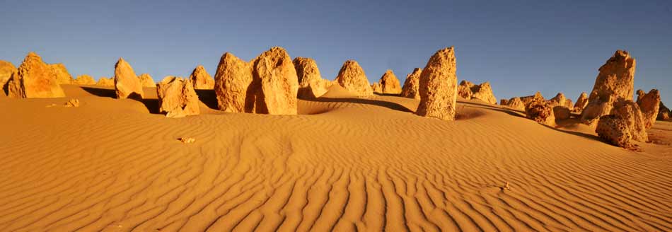 Unser Pointee ist in Westaustralien