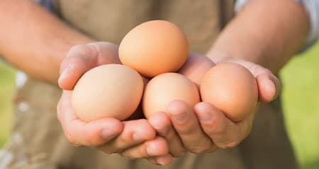 Sind Eier gesund? Jemand hält mehrere Eier mit brauner Schale in den Händen