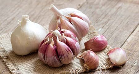 Dieses Gewürz heißt: knoblauch