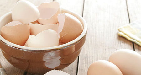 Vorsicht Fehler zum Thema Eierschalen