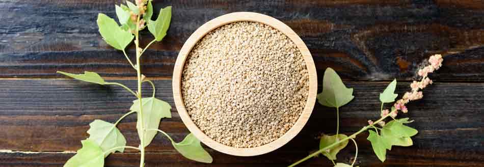 Wie spricht man Quinoa aus?