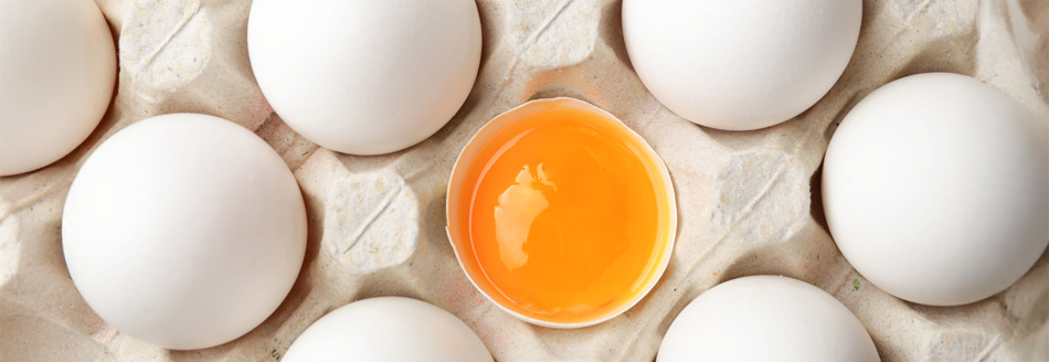 Ein aufgeschlagenes Ei sitzt im Karton neben intakten Verwandten.