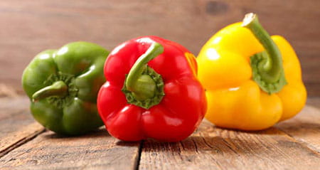 Schluss mit Diskussionen zum Thema der die das paprika