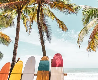 Sichere dir PURELEI Rabatte mit einem Gutschein durch deine PAYBACK Punkte