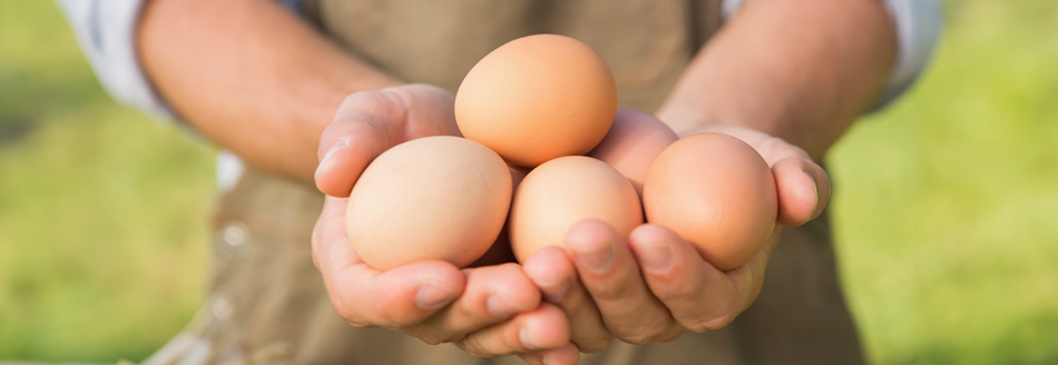 Sind Eier gesund? Jemand hält mehrere Eier mit brauner Schale in den Händen