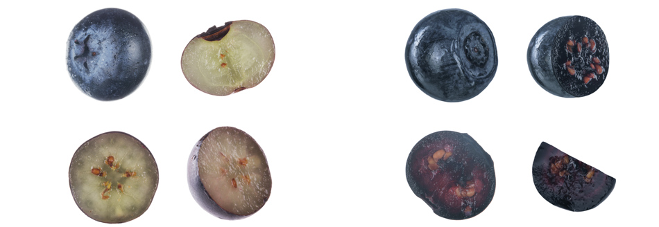 Wie unterscheiden sich Heidelbeeren und Blaubeeren?