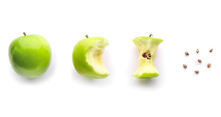 Apfelstrunk aufessen: Ein grüner Apfel wird nach und nach aufgegessen