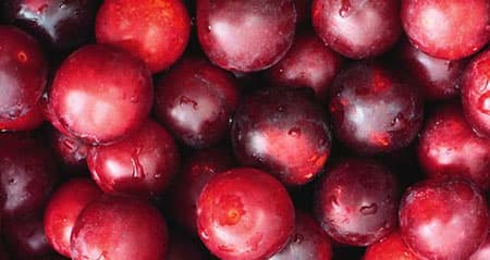 Dieses Obst ist eine: kirschpflaume