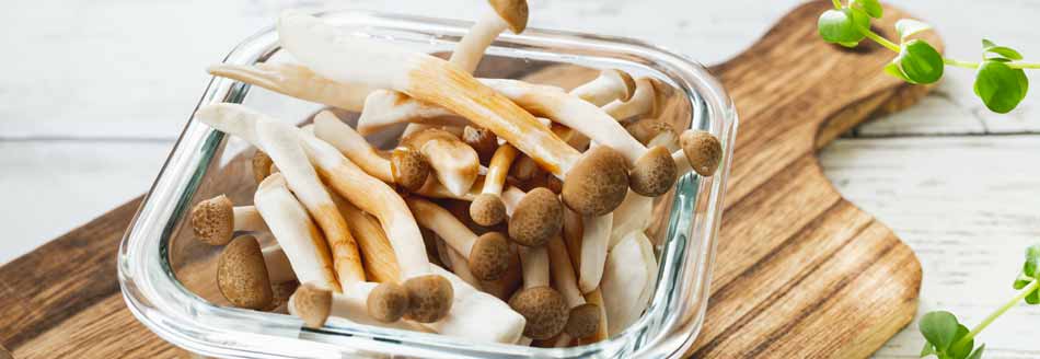 Pilze aufwärmen in der Mikrowelle