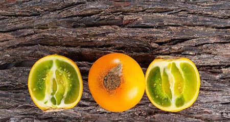 Dieses Obst ist eine: lulo