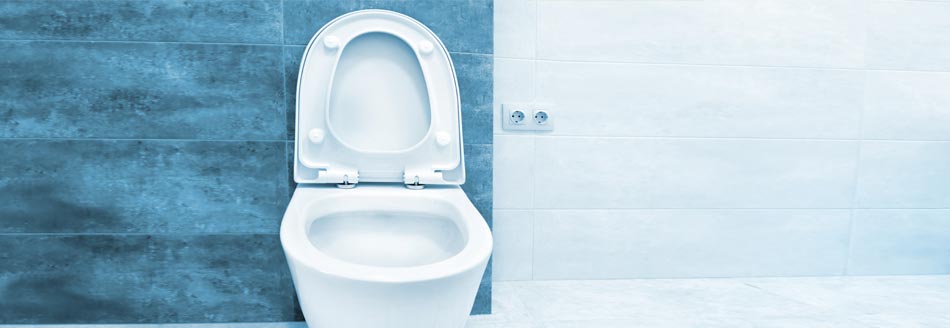 Klobrille mit Backofenspray reinigen