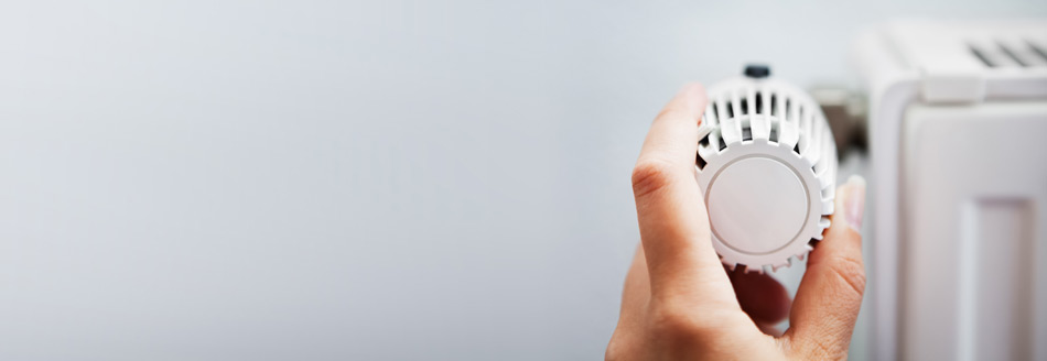 Heißt es der oder das Thermostat?