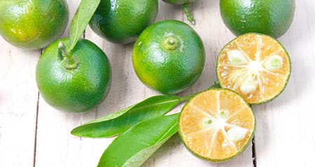 Dieses Obst ist eine: calamondin