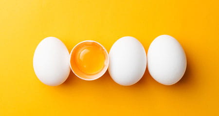 Schluss mit Diskussionen zum Thema der die das dotter