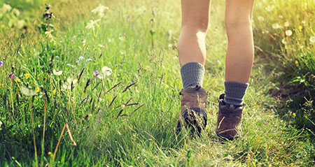 Was stimmt und was nicht zum Thema zecken fallen vom baum