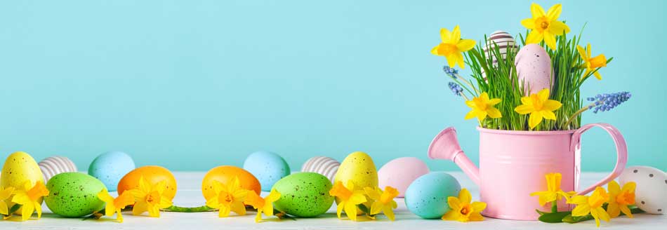 Wann ist Ostern? Eier und Frühlingsblumen treffen sich an und in einer Gießkanne
