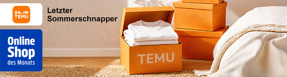 Der Online shop des Monats ist Temu: Letzter Sommerschnapper