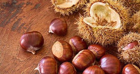 Was stimmt und was nicht zum Thema Kastanien eßbar