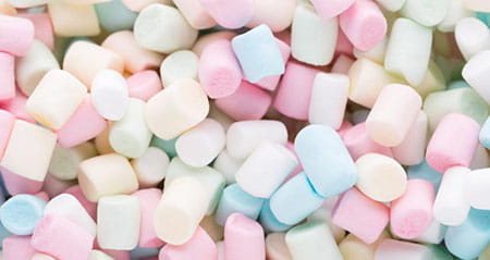 Schluss mit Diskussionen zum Thema das der die marshmallow