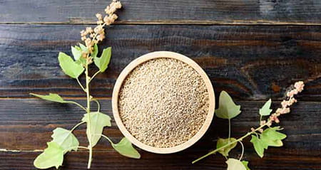 Schluss mit Diskussionen zum Thema quinoa