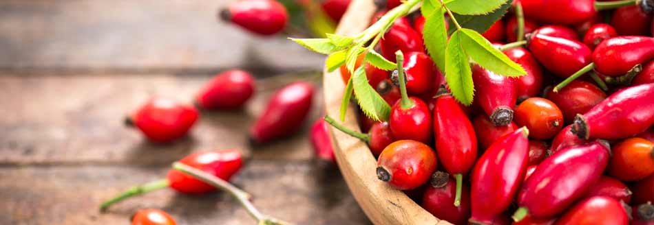 Knallrote Hagebutten liegen in einer Schale