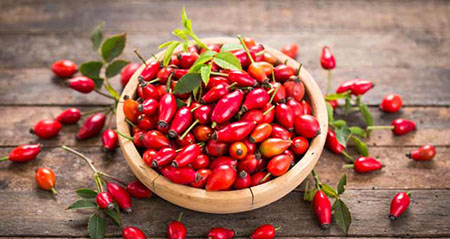 Aus der Kategorie Aha zum Thema hagebutten