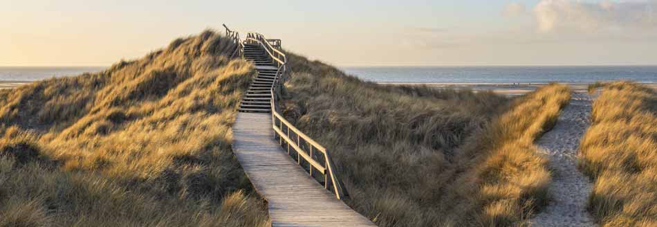 Unser Pointee ist auf Amrum
