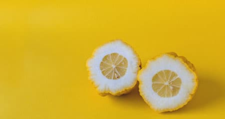 Dieses Obst ist eine: zitronatzitrone