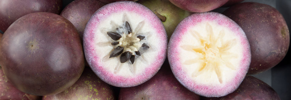 Der Sternapfel hat besonders hübsche innere Werte.