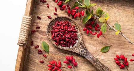 Dieses Obst ist eine: berberitze