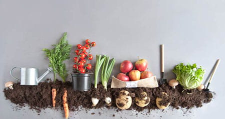 Vorsicht Fehler zum Thema Gemüse roh essen