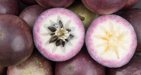 Dieses Obst ist eine: sternapfel