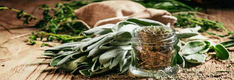 Hausmittel gegen Erkältung: Ein Bund Salbei liegt auf Holz