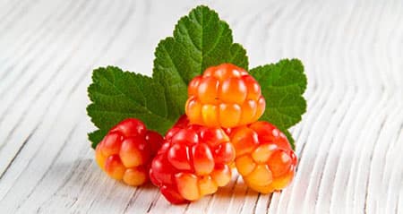 Dieses Obst ist eine: moltebeere