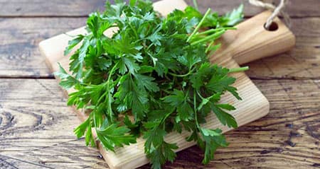 Dieses Gewürz heißt: petersilie