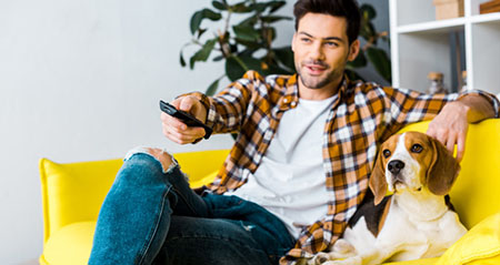 Aus der Kategorie Aha zum Thema hund und tv