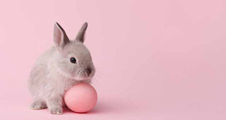 Aus der Kategorie Aha zum Thema osterhase